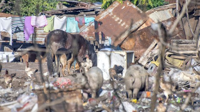 Leve retroceso de la pobreza e indigencia en la provincia