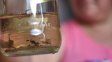 Dengue: continúa en descenso la presencia del mosquito transmisor de la enfermedad en los barrios de la ciudad