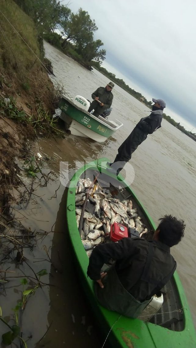 Secuestraron 1.603 pescados depredados en la zona de islas de Santa Fe