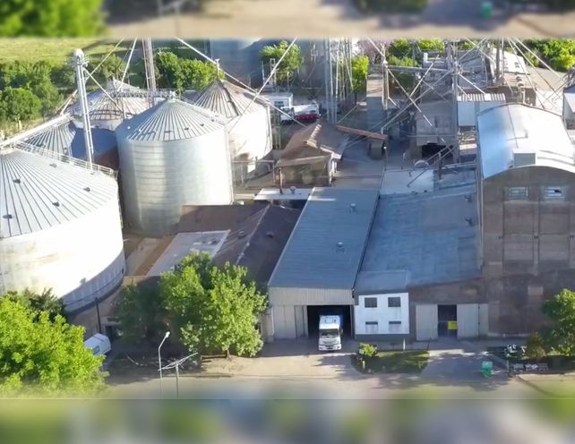 El sector molinero se resiente a causa del precio del trigo.