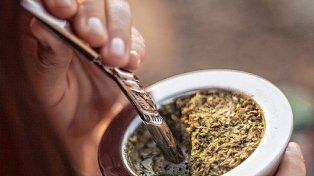 Entre Ríos sigue liderando el consumo de yerba mate, a pesar de la crisis