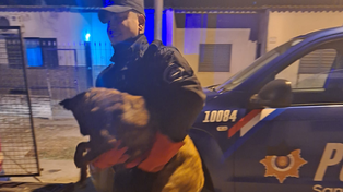 Rescatan a una perrita y sus diez cachorros del interior de un desagüe