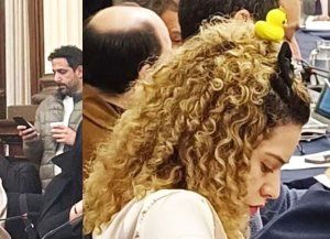 Lourdes Arrieta, diputada de LLA lució patito amarillo en el Congreso