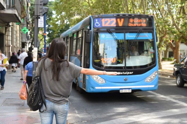 Ambiente. El cuidado del entorno