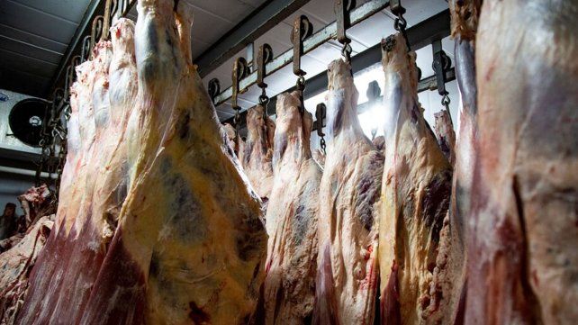 Exportación de hacienda en pie: frigoríficos de Santa Fe calificaron la medida de intempestiva y advierten aumentos en la carne