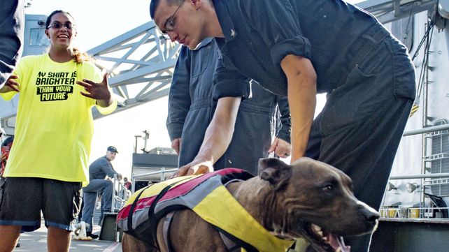 Rescatan a dos mujeres y sus perros tras estar cinco meses a la deriva en el Pacífico