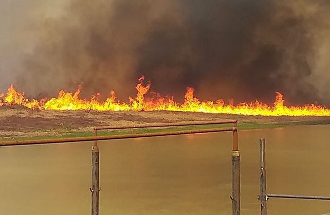 Ardió Saladero: las impactantes imágenes del la quema de pastizales en el paraíso costero
