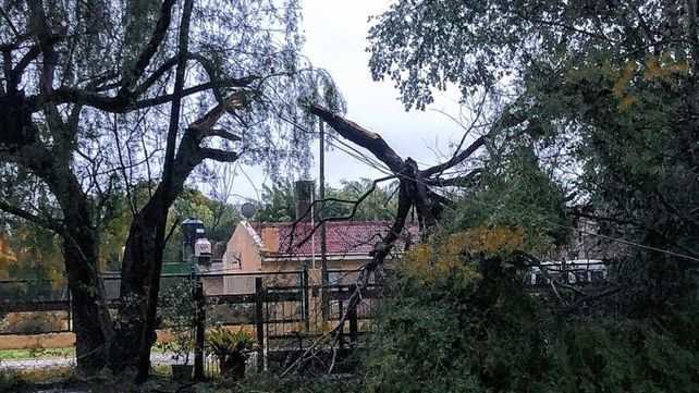 Consecuencias del fuerte temporal en Paraná y alrededores