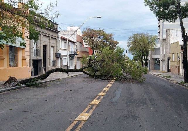 Foto: Facebook Paraná hacia el mundo