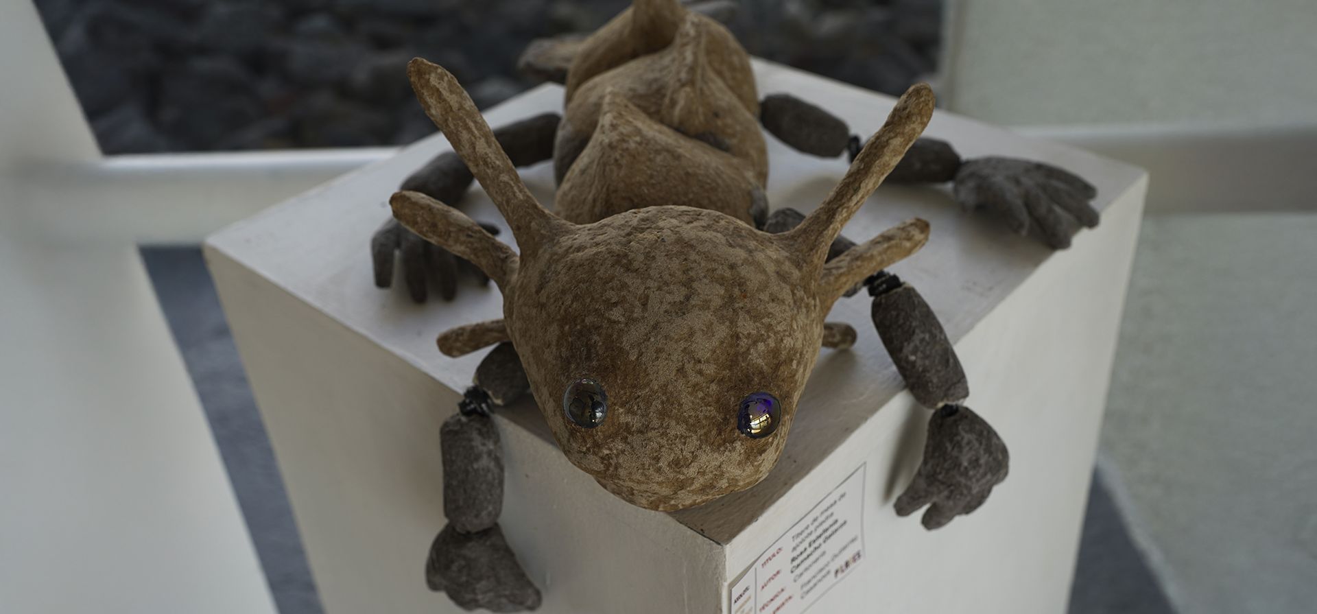 Una figura de un ajolote se exhibe en un museo en el Parque Ecológico Xochimilco, en la Ciudad de México, el martes 11 de febrero de 2025. (Foto AP/Marco Ugarte) Una figura de un ajolote se exhibe en un museo en el Parque Ecológico Xochimilco, en la Ciudad de México, el martes 11 de febrero de 2025. (Foto AP/Marco Ugarte)