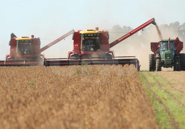 Producción. Desde la provincia se destinan más de 3.000 millones de dólares.  UNO de Santa Fe/Mauricio Centurión