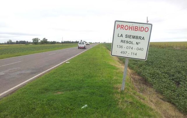 Vialidad comenzó a destruir los sembrados en las banquinas