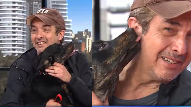 Ricardo Darin rescató un perro en 2021 y hoy se conoció su paradero