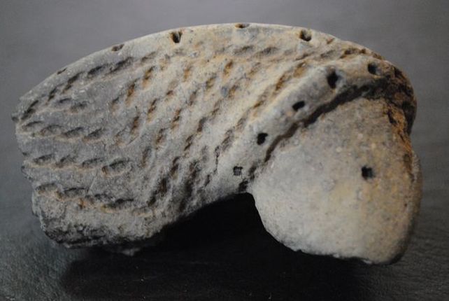 Los Abipones fueron los primeros matemáticos del norte santafesino