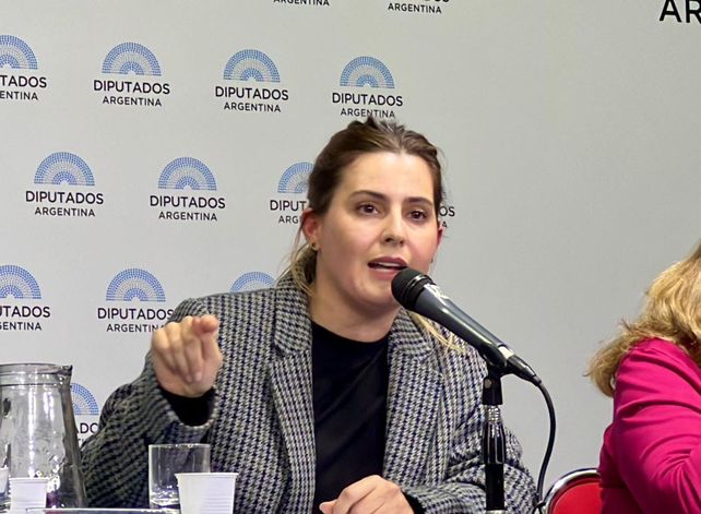 La diputada provincial socialista Lionella Cattalini.