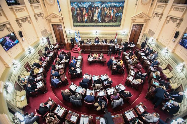 Borgonovo confía en lograr el acuerdo para que se apruebe hoy la ley de emergencia