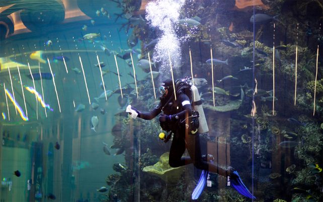 Un buzo limpia el cristal de un acuario gigante en el Aeropuerto Internacional Rey Abdulaziz en Jiddah