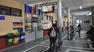 El pequeño fue internado en el Hospital de Niños picado por un alacrán y terminó falleciendo