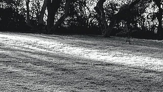 La helada se hizo sentir en la zona del paraje La Balsa de Villa Urquiza