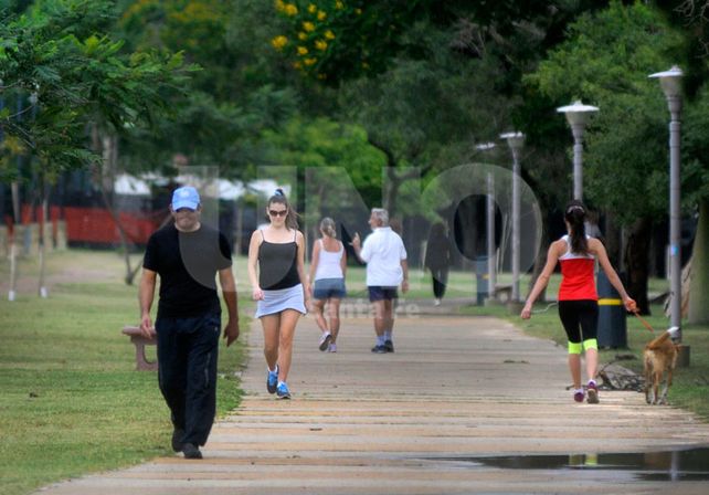 La tormenta dejó árboles caídos y cortes de luz y sigue vigente el alerta por lluvias