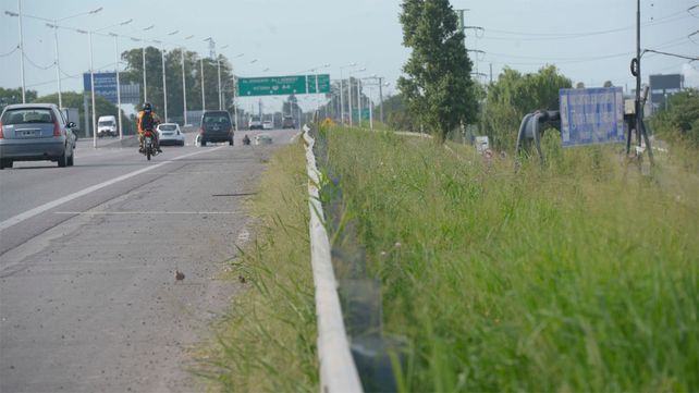 Postal de abandono. Las malezas fueron adquiriendo altura de la mano de las intensas lluvias y las altas temperaturas tanto en rulos y colectoras