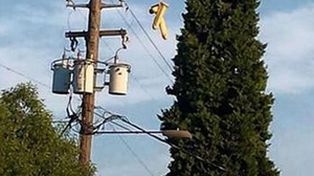 Una ciudad apareció repleta de juguetes sexuales colgados en los cables