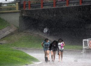 Lluvia, humedad y calor, el cóctel para toda la semana