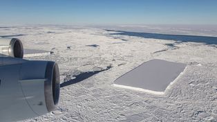 La Antártida pierde el hielo de sus costas a un ritmo arrollador