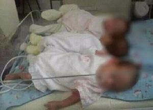 El drama de las trillizas abandonadas que buscan una familia que las adopte