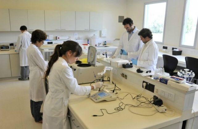 Conicet está entre las 80 mejores instituciones científicas del mundo