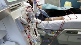Los costos se triplicaron en cuestión de semanas tras la devaluación, pero la problemática para acceder a los insumos viene desde hace meses