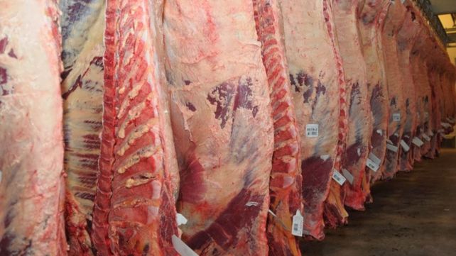 Las exportaciones de carne tuvieron un fuerte repunte interanual en febrero