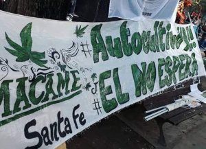 La Corte dictaminó que habrá control estatal para autocultivo de cannabis