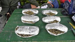 Joven mula que llevaba marihuana cumple la pena en su casa para cuidar a sus hijos