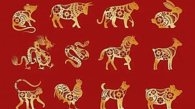 Horóscopo chino: las predicciones de Ludovica Squirru