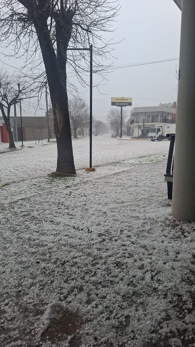 Las Rosas se recupera después de los 15 minutos de devastación del jueves provocadas por la tormenta de granizo
