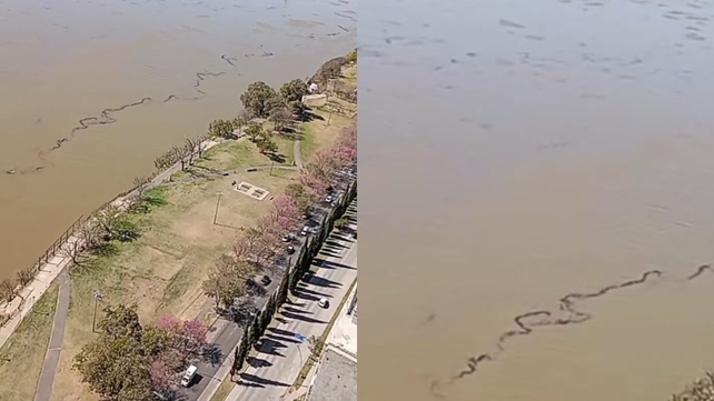 La mancha negra recorre casi toda la ribera rosarina del río Paraná.