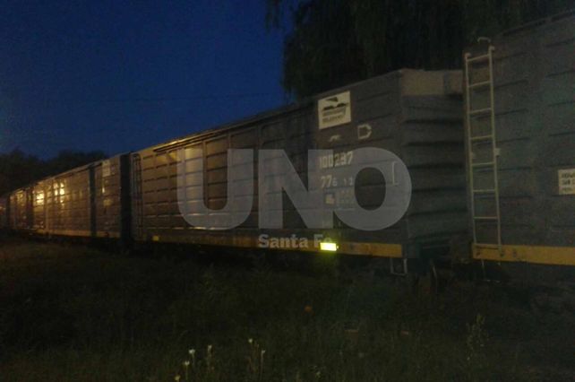 Descarriló un tren en Pasaje Liniers y las vías