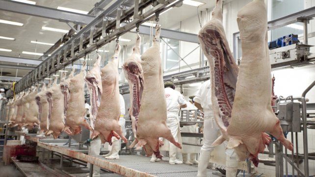 Frigoríficos de Santa Fe se manifestaron sobre la creciente importación de carne de cerdo desde Brasil