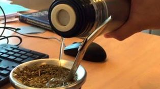 Lanzan Viernes a color, mateadas virtuales para las juventudes
