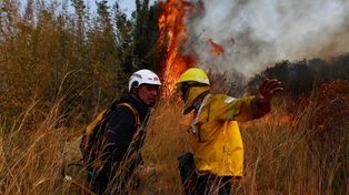 Fernández visitará zonas afectadas por los incendios en Corrientes
