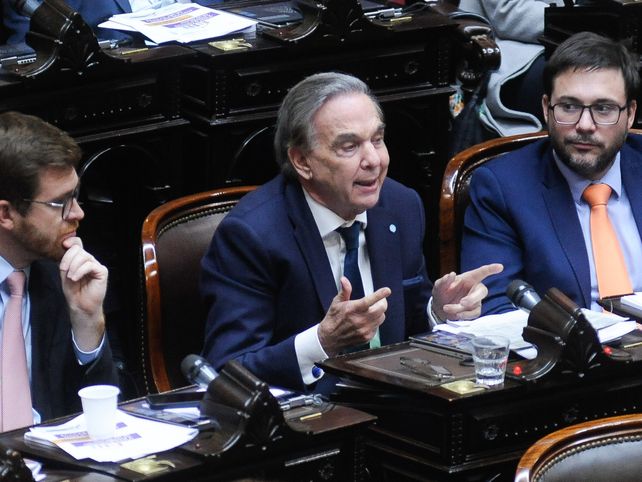 Pichetto considera que vale la pena analizar el decreto de Milei.