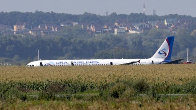 Vivir para contarla. El avión A321 de Ural Airlines aterrizó en un maizal cercano al Aeropuerto Zhukovsky.