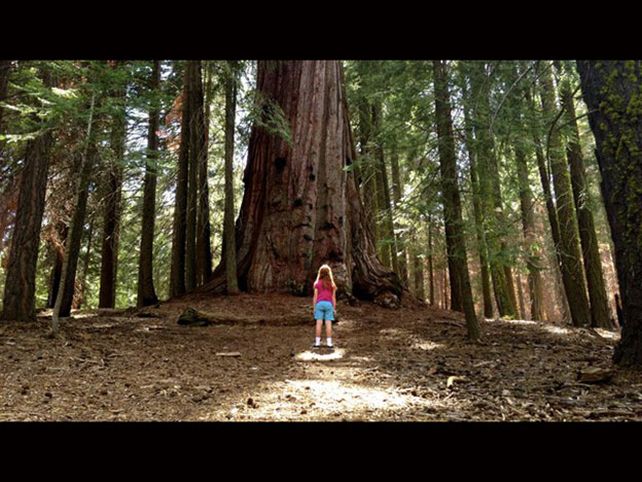 Las fotografías premiadas de National Geographic