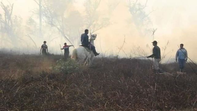 Incendios en Islas&nbsp;Foto: Federación de Bomberos Voluntarios