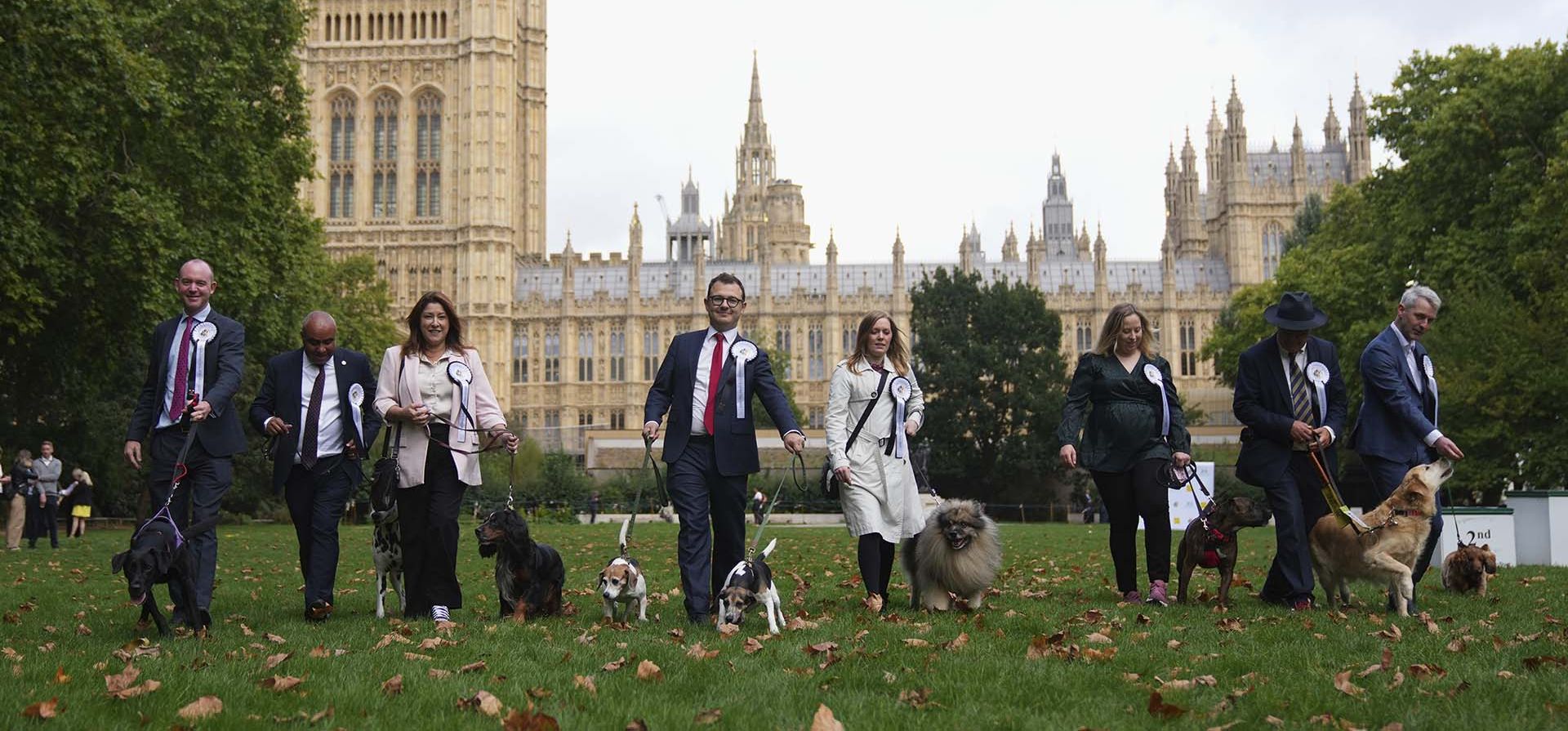 Miembros del Parlamento británico pasean con sus perros durante la competencia anual Miembros del Parlamento británico pasean con sus perros durante la competencia anual