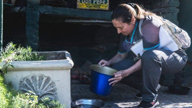 Se intensifican los bloqueos para evitar la transmisión del dengue.