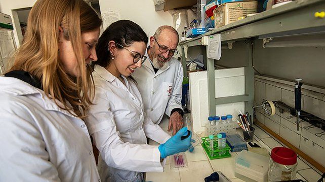 El equipo dirigido por el investigador del CONICET Emilio Malchiodi fue distinguido por un proyecto que busca desarrollar una vacuna contra la enfermedad de Chagas. Fotos: CONICET Fotografía/ Verónica Tello.