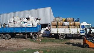 Unas siete toneladas de material reciclado fue recuperado por los trabajadores de la Plantade Separación, Clasificación y Acondicionamiento de RSU.
