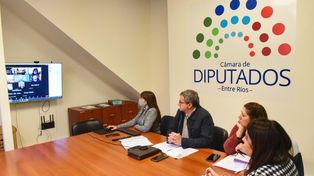 Ley de Fibromialgia el proyecto volvió a Diputados para ser revisado&nbsp;